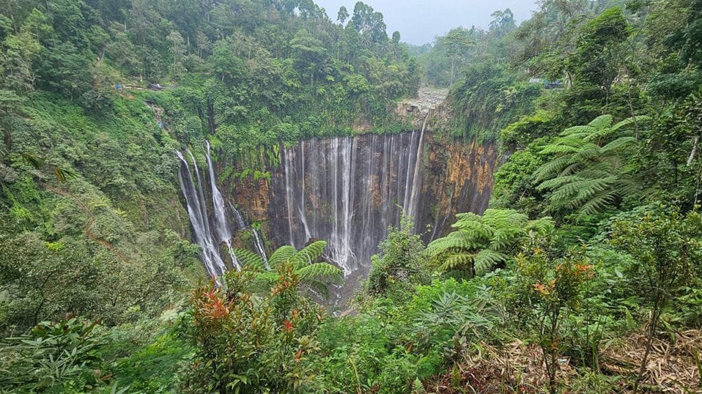A Natural Wonder: Exploring Tumpak Sewu Waterfall in a Day