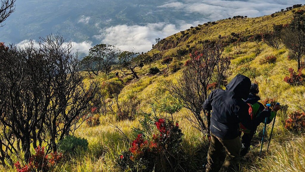 Challenges and Rewards: A 2-Day Hiking Adventure at Mount Sumbing