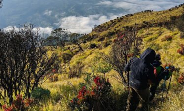 Challenges and Rewards: A 2-Day Hiking Adventure at Mount Sumbing