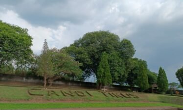 From Surabaya Port to Trowulan: A Journey through Java's Rich Heritage