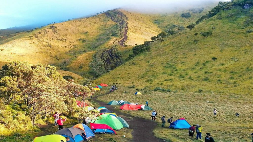 Discover the Hidden Treasures of Mount Merbabu with a 1-Night Camping Trip
