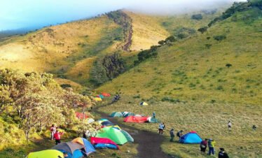 Discover the Hidden Treasures of Mount Merbabu with a 1-Night Camping Trip