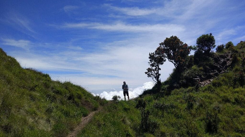 Experience Nature's Beauty on a Mount Merbabu Camping Adventure