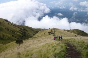 Mount Merbabu Camping Hike: Exploring Indonesia's Natural Treasures