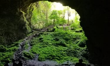 A Thrilling Day of Adventure at Jomblang and Pindul Caves and Tubing