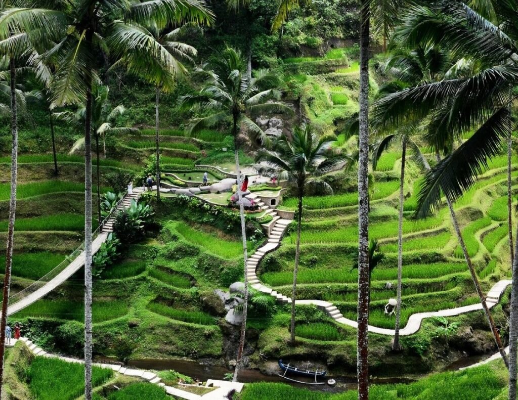 Experience Authentic Balinese Culture on a Day Trip from Benoa Port