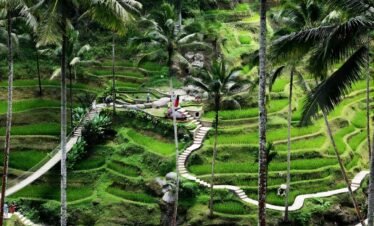 Experience Authentic Balinese Culture on a Day Trip from Benoa Port