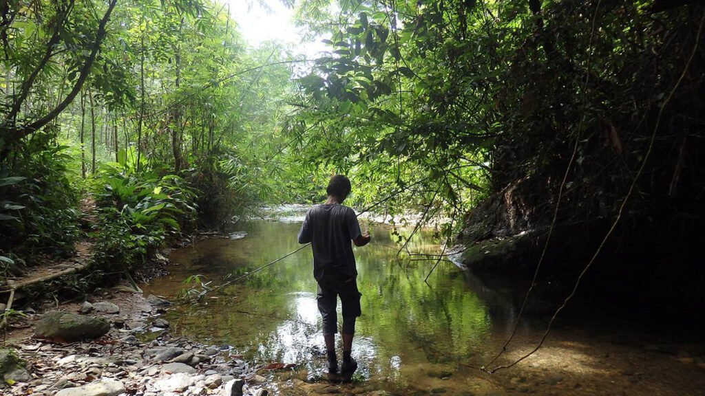 Nature and Wildlife Collide in Bukit Lawang: An Orangutan Adventure