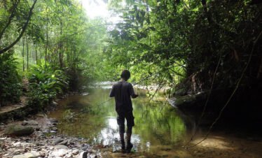 Nature and Wildlife Collide in Bukit Lawang: An Orangutan Adventure