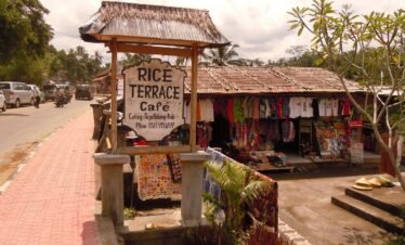 Immerse Yourself in the Beauty of Ubud: A Bali Cruise Excursion