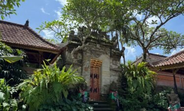 Uncover the Hidden Gems of Bali's Countryside on an Ubud Village Tour