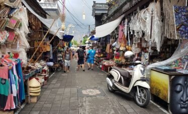 Experience the Heart of Bali on a Day Trip to Ubud from Benoa Port