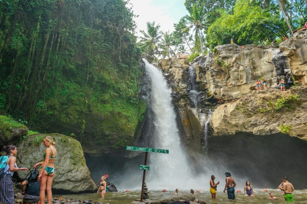 From Temples to Rice Terraces Discovering Ubud and Tanah Lot in a Day