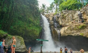 From Temples to Rice Terraces Discovering Ubud and Tanah Lot in a Day