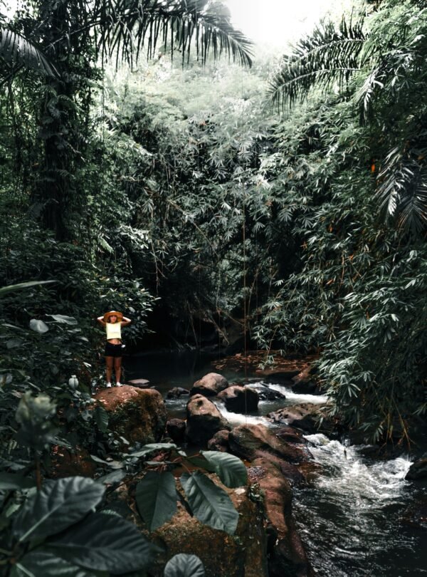 Jungle Treks