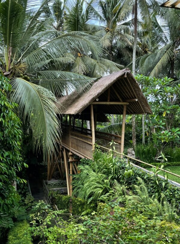 Nature excursions