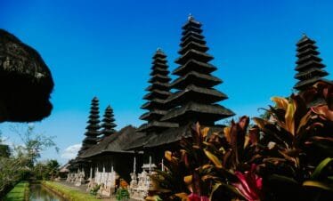 Temple Hopping and Scenic Views A Day-Trip to Ubud and Tanah Lot