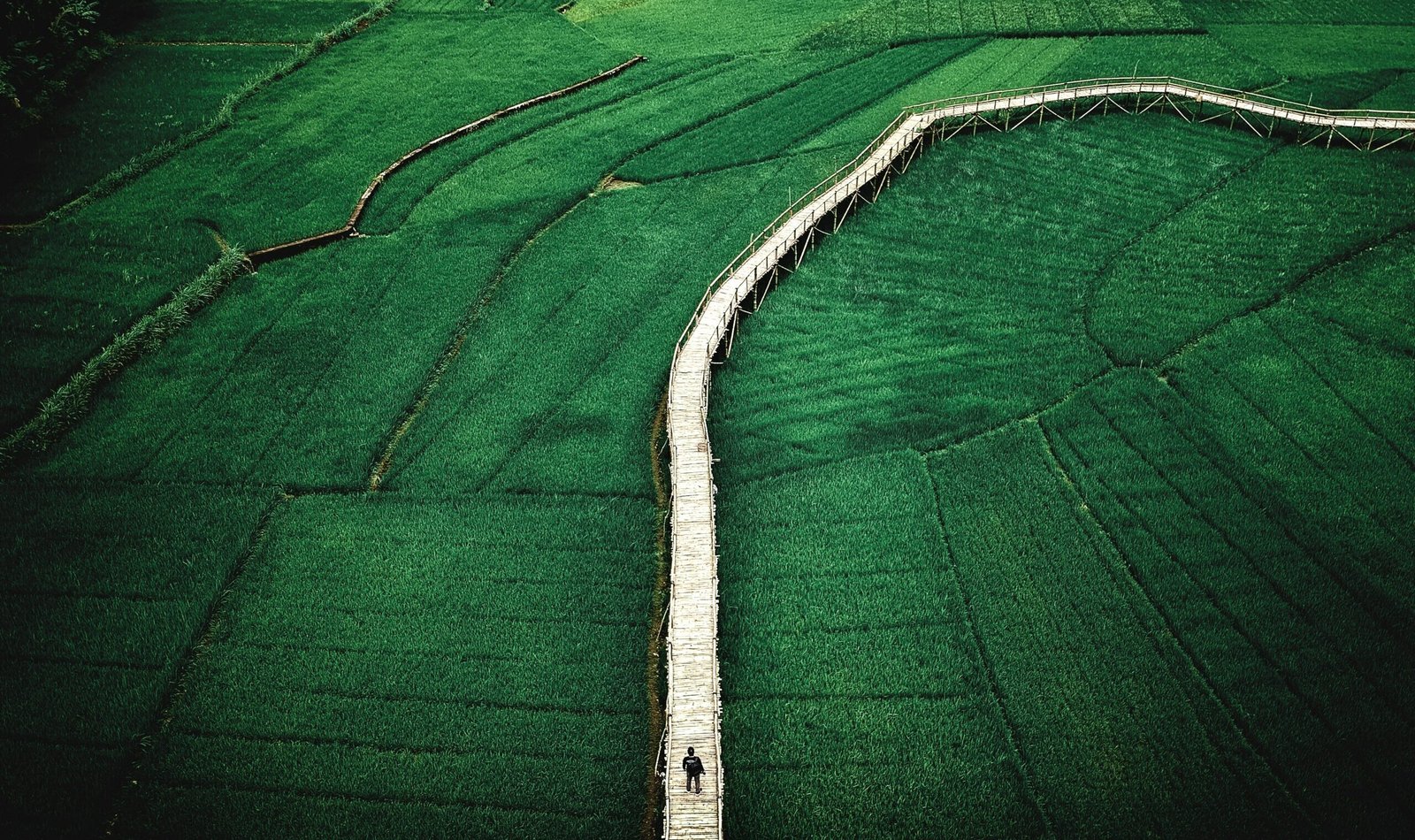 Travel Blog