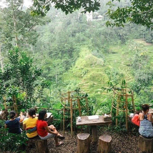 Exploring Bali's Rapids and Volcanic Views: A Rafting and Kintamani Tour