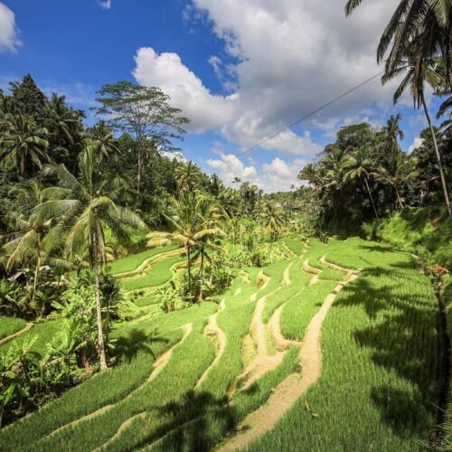 From Rushing Waters to Majestic Mountains: A Bali Rafting and Kintamani Excursion