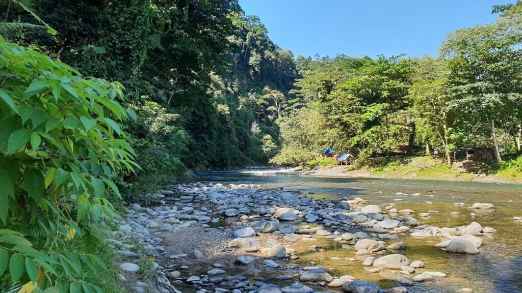 Get Up Close and Personal with Orangutans in Bukit Lawang