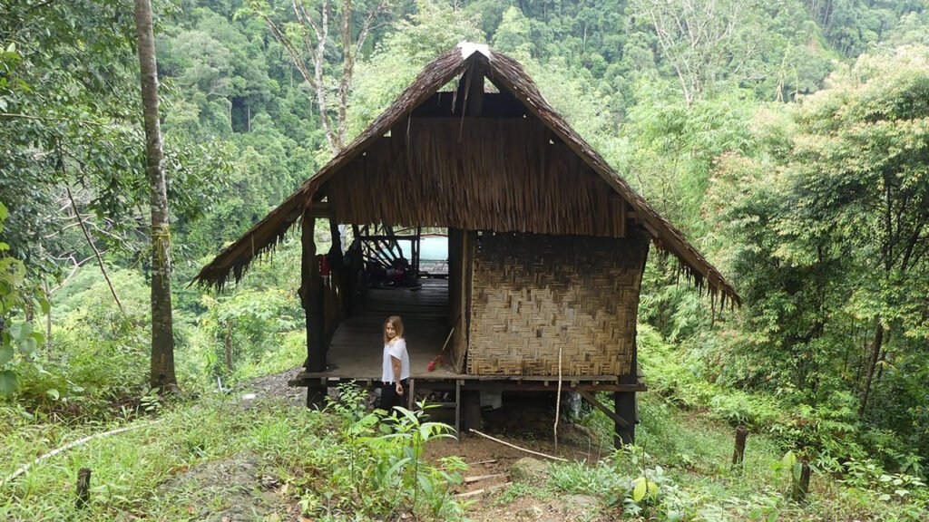 From Medan to the Jungle: A Memorable Orangutan Adventure