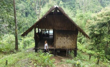 From Medan to the Jungle: A Memorable Orangutan Adventure