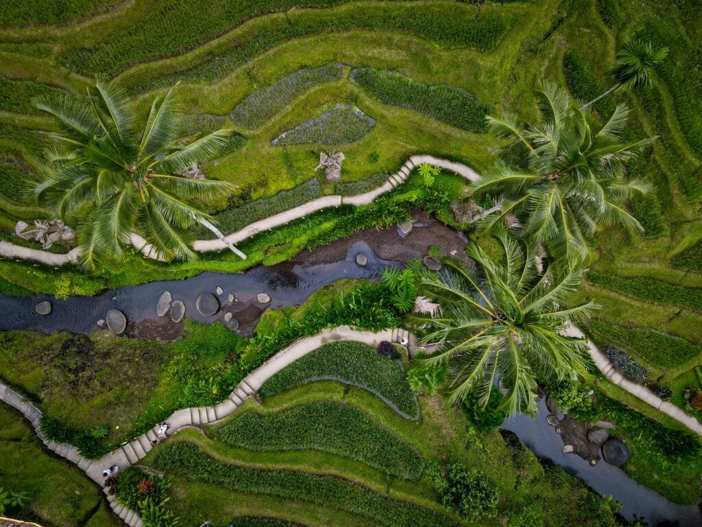 Step Back in Time: Exploring Bali's Traditional Communities in Ubud Village