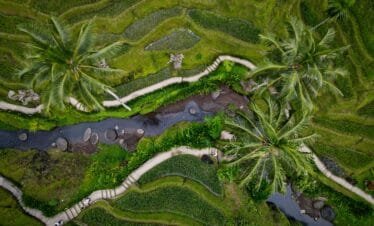 Step Back in Time: Exploring Bali's Traditional Communities in Ubud Village