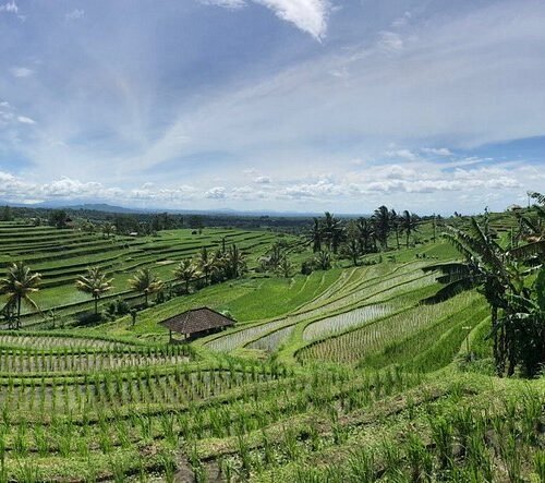 A Cultural Immersion in Bali: Full-Day Tour to Tanah Lot, Kintamani, and Uluwatu