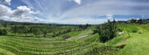 From Cruise Ship to Cultural Adventure: Ubud Village Tour from Benoa Port