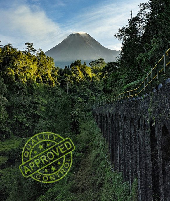 discover belantara travel in Indonesia journey
