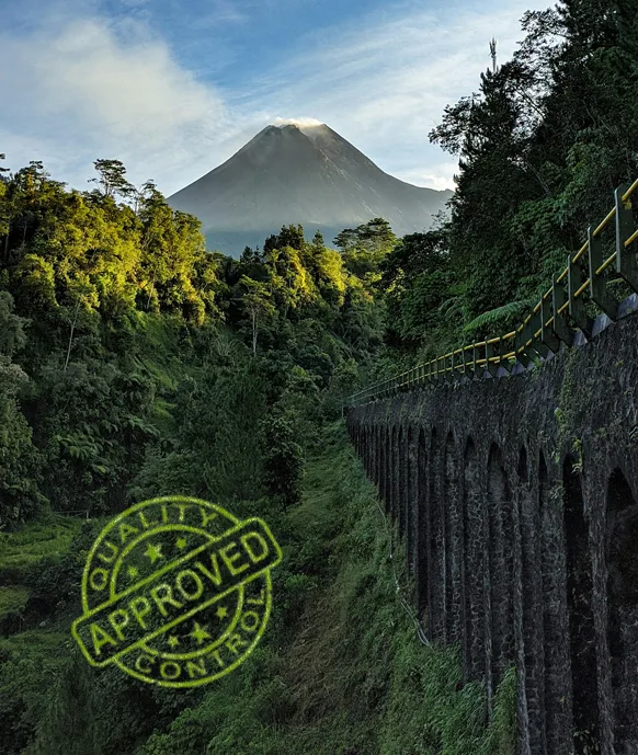 discover belantara travel in Indonesia journey